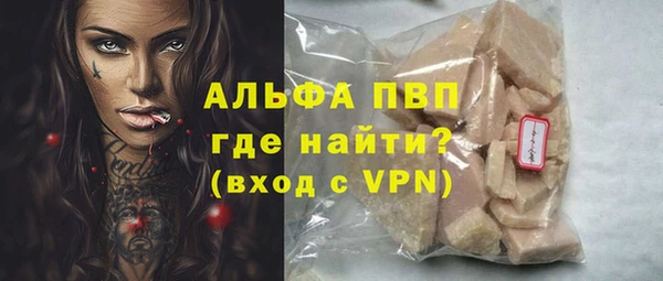 стаф Липки