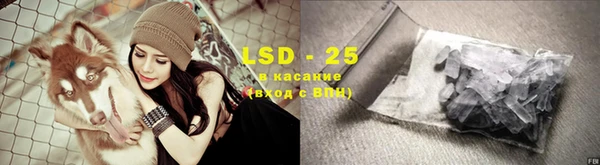 ECSTASY Лагань