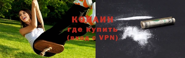 ECSTASY Лагань