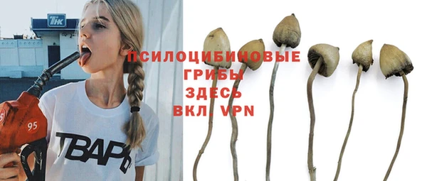 PSILOCYBIN Болхов