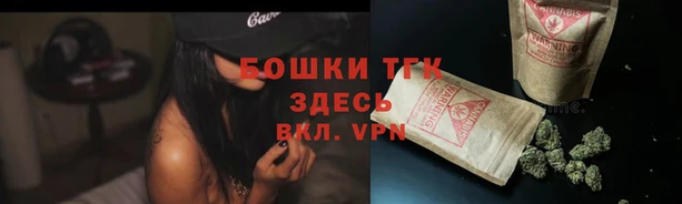 мдпв Лиски