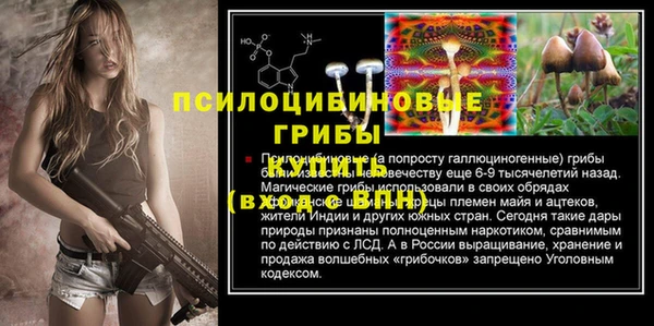 ECSTASY Лагань