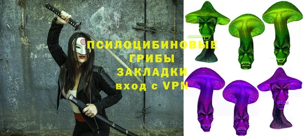 ECSTASY Лагань