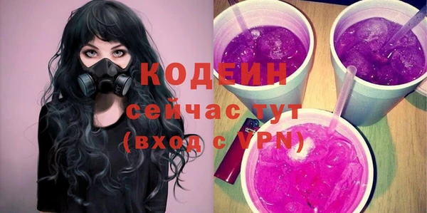 ECSTASY Лагань