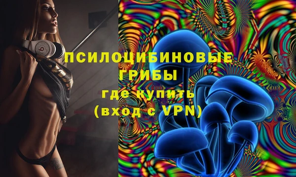 ECSTASY Лагань