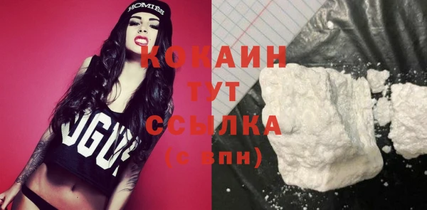 ECSTASY Лагань